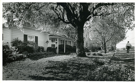 Andy's home place 1978